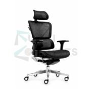 Furniconcepts Inox Mesh HB High Back Chair | Executive Office Seating, Modern Ergonomics | Full Mesh Back and Seat, Synchro Mechanism, Adjustable Lumbar